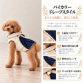高級犬服「バイカラー ドレープスタイル」を着用したトイプードルの商品紹介画像。アイボリーとネイビーの配色、幅広の折り返し襟、背中の立体的なドレープ、ゴールドカラーのボタンを紹介。