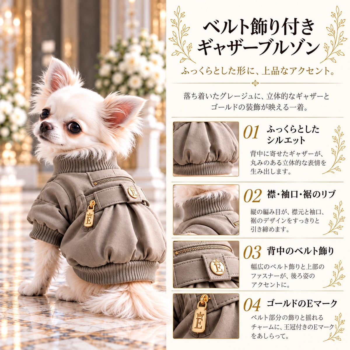 高級犬服「ベルト飾り付きギャザーブルゾン」を着用したロングコートチワワの商品紹介画像。ふっくらした背中のギャザー、リブ襟と袖口、背中のベルト飾り、ファスナー、ゴールドのEマークチャームを紹介。