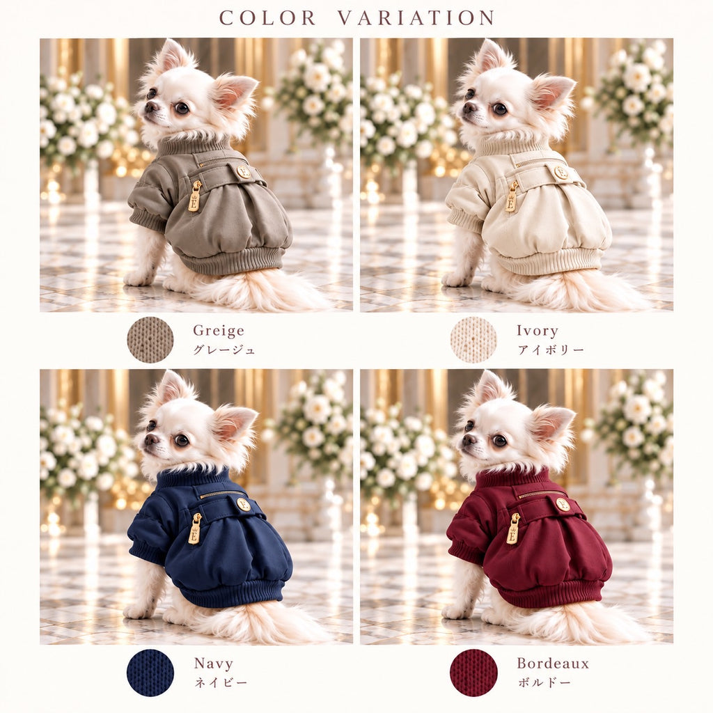 高級犬服「ベルト飾り付きギャザーブルゾン」の4色比較画像。グレージュ、アイボリー、ネイビー、ボルドーをロングコートチワワが着用。背中のベルト飾りとギャザーデザインを紹介。