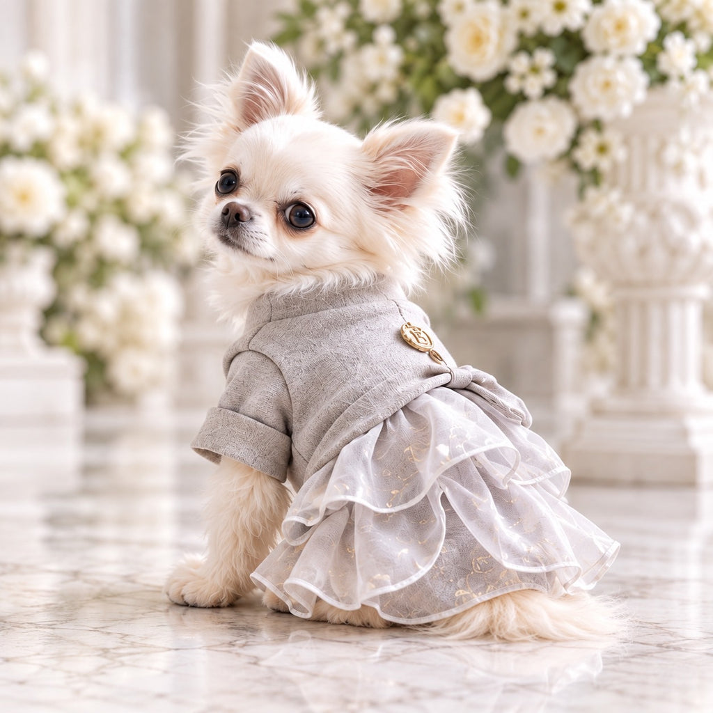 高級犬服「Luxe Grace Dress」を着用した白いチワワの横向き写真。上品なトップスと幾重にも重なる立体的なフリルスカートが特徴。ふんわり広がる優雅なシルエットが美しい、Elemurus Preciousの犬用ドレス。