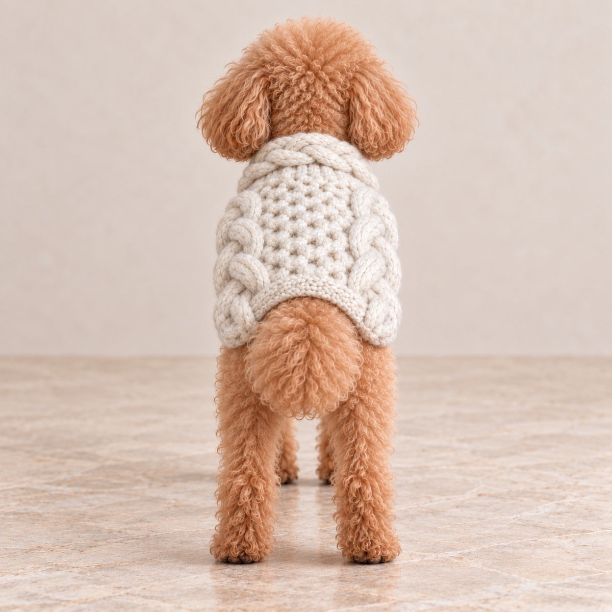 高級犬服「立体ケーブルニットベスト」のアイボリーを着用したトイプードルの後ろ姿。背中中央の凹凸ある編み模様と左右に配置された大きな立体ケーブル編み、首元のニット襟が特徴。